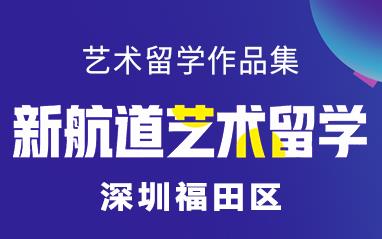 深圳福田區(qū)自費出國留學中介服務(wù)解析 以新航道前程留學為例