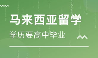 佛山芝諾日本留學(xué)中介 自費出國留學(xué)的可靠選擇